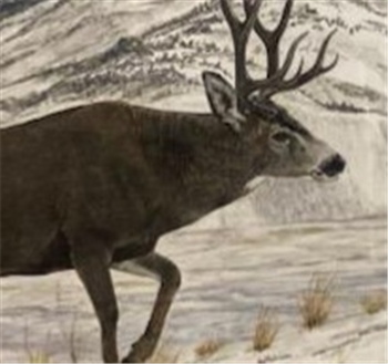 Storm Song -Mule Deer Late Fall - Image 1 of 2