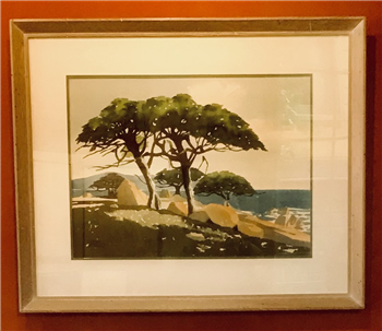 Monterey Cypress - Image 1 of 3