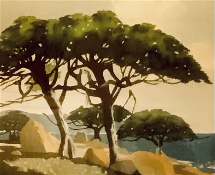 Monterey Cypress - Image 2 of 3