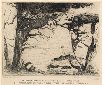 "Monterey Cypress"