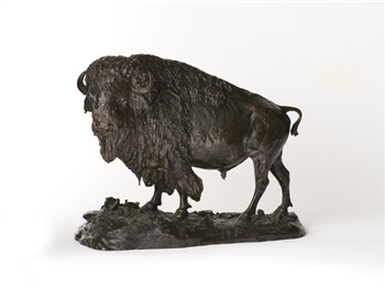Bison, No. 10