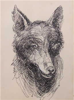 Wolf Study