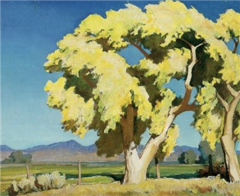 Cottonwoods