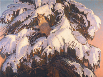 The Weight of Winter