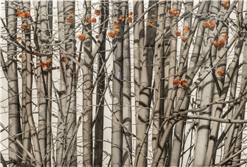 Autumn Wind