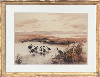 Canada Geese - Image 1 of 2