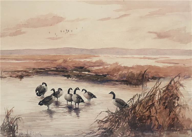Canada Geese - Image 2 of 2