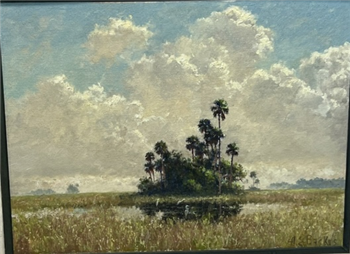 morning light-the Everglades