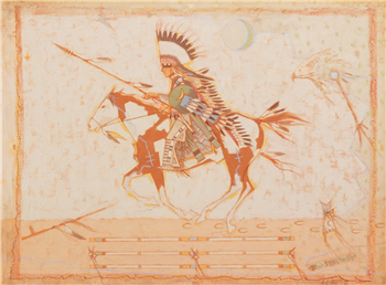 Medicine of the Hawk Dreamer (special price offering)