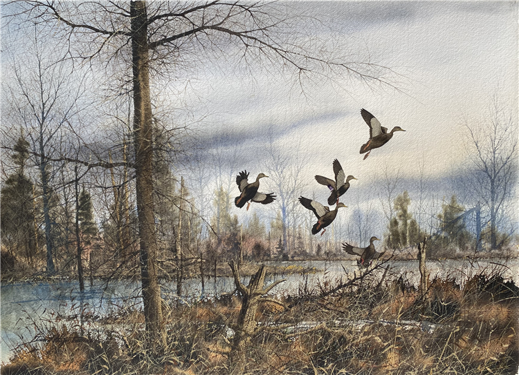 Tamarack Pond - Black Ducks - Image 2 of 2