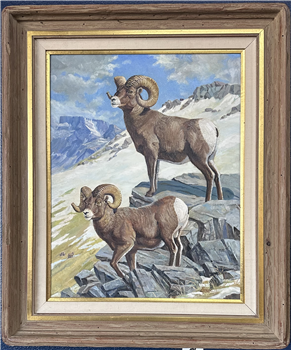 Big Horns