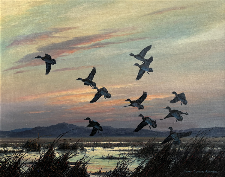 Evening in the Great Basin - Wigeon - Image 2 of 2