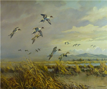 Pintails Over the March - Image 1 of 2