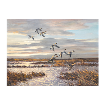 Pintails by Hugh Monahan - Image 1 of 4