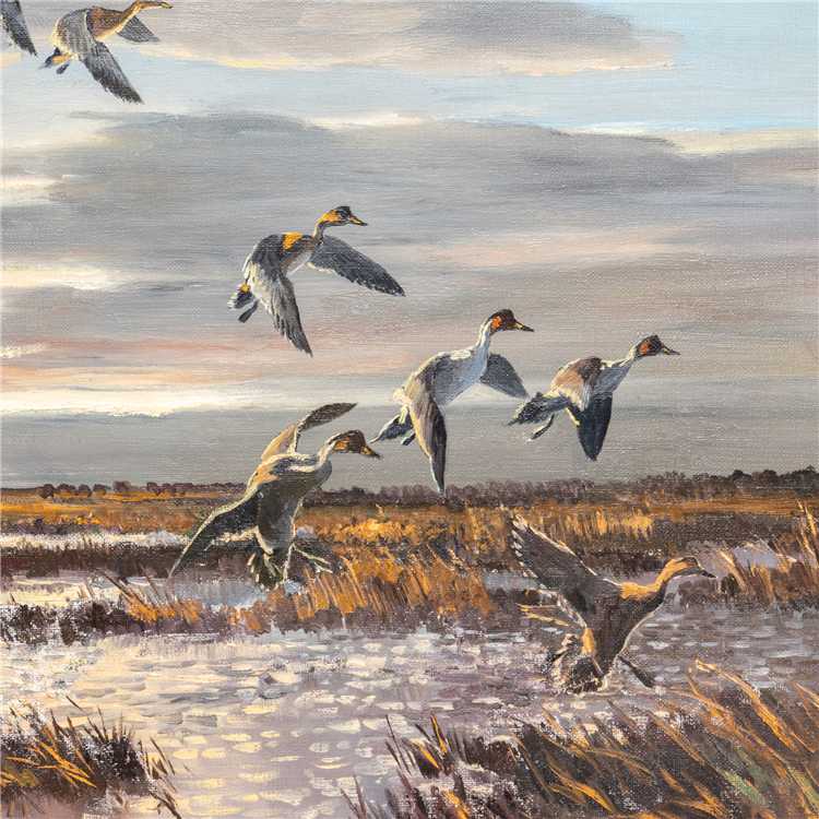Pintails by Hugh Monahan - Image 3 of 4