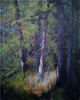 Forest Notes
