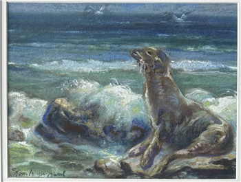 Coast