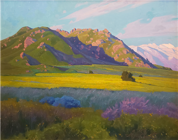 Mustard Field at Lake Perris, California - Image 1 of 4