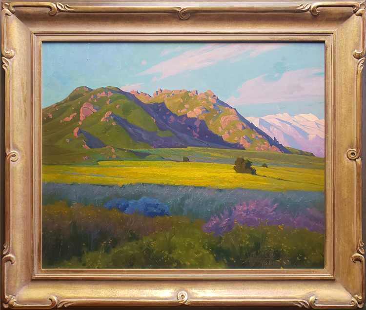 Mustard Field at Lake Perris, California - Image 2 of 4