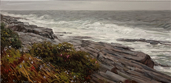 Cape Elizabeth Coastline