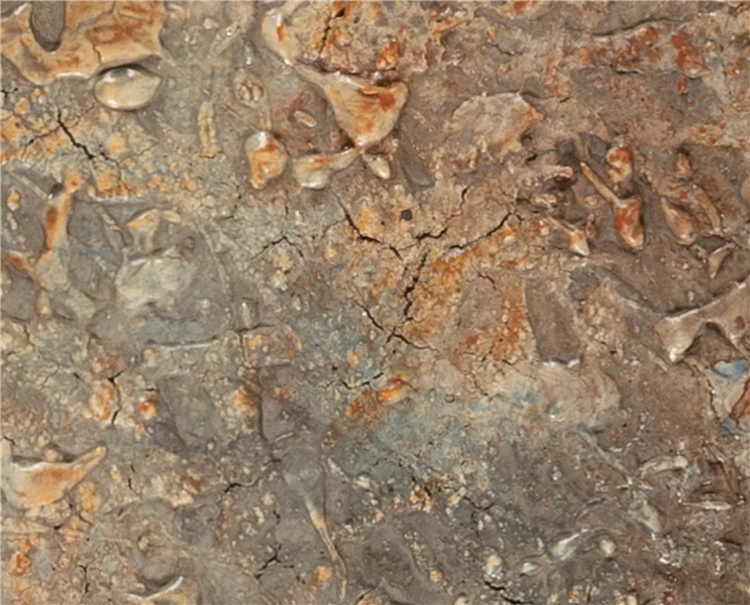Untiled - Image 3 of 3