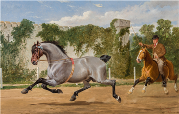 A Young Windsor Grey - Image 1 of 2