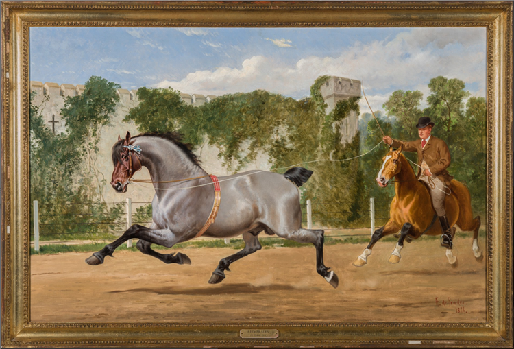 A Young Windsor Grey - Image 2 of 2