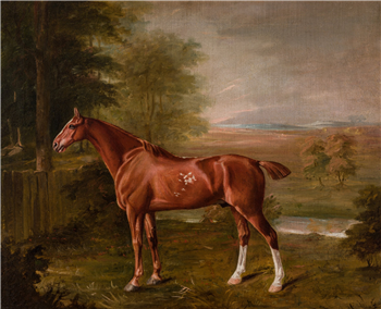 Chestnut in a Landscape - Image 1 of 2