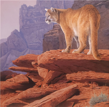 Canyon Country Gold