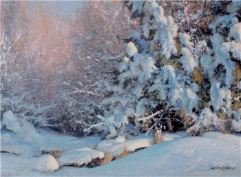 new Snow