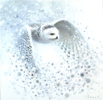 Snowy Owl