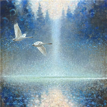 Trumpeter Pair