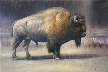 Buffalo II
