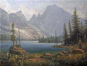A Land To Wander
