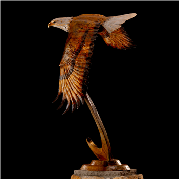 Freedom - Image 1 of 4