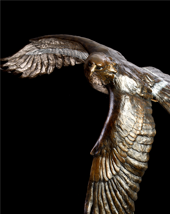 Freedom - Image 4 of 4