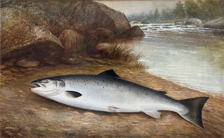 Atlantic Salmon - Image 2 of 2