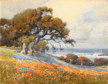 Monterey Oak - Image 1 of 2