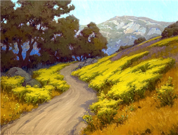 Wild Mustard