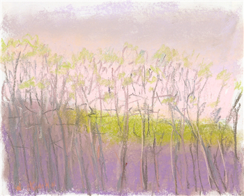 Tree Tops
