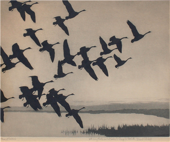 Dawn at Currituck, Geese in Flight - Image 1 of 2