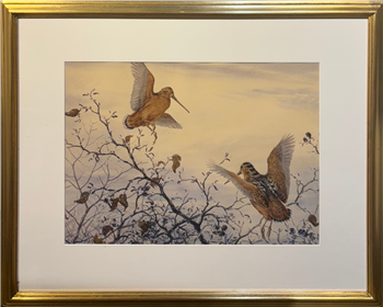 Woodcock in Flight - Image 1 of 2