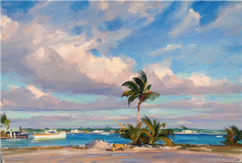 Florida Sky