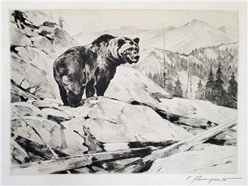 Silvertip, 1928, Crouch 25 (Inv. #4637)