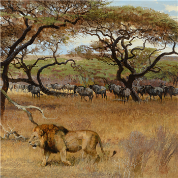 African Baroque