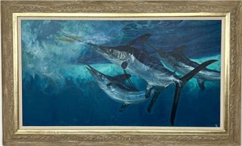 White Marlin