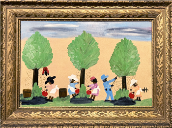 Pecan Harvest