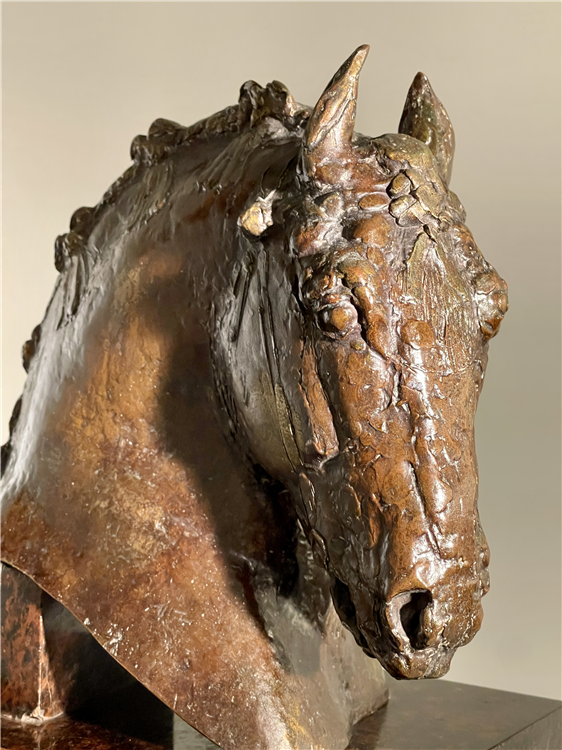 Sudbourne Premier: Suffolk Punch Stallion - Image 3 of 3