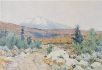 Buffalo Peaks