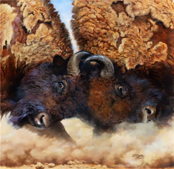 Head to Head